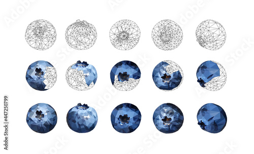 Set of Blueberries tasty and delicious isolated on white. Low poly triangular 3d blueberries in a geometric style. Detailed vector illustration stages of the creation process