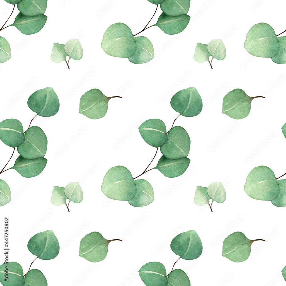 Pattern from watercolor floral illustrations - collection of eucalyptus branches of green leaves, for wedding stationery, congratulations, wallpaper, fashion, background. Eucalyptus, olive, green leav