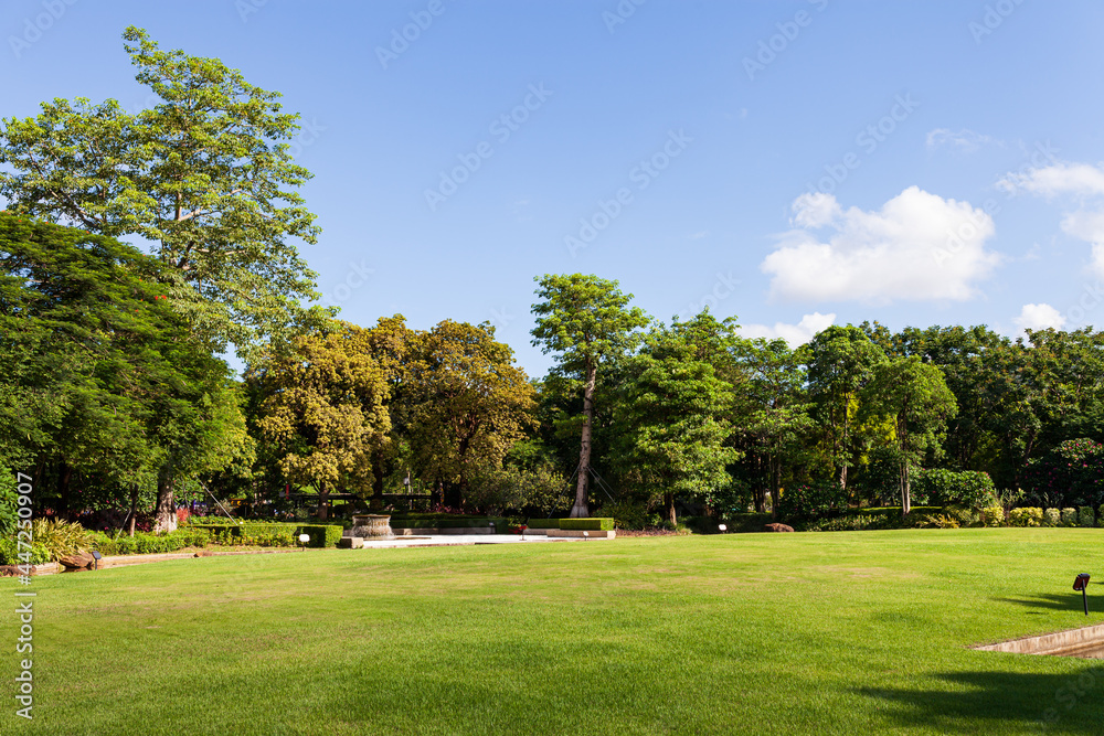 City park,Scenic View Of Trees On Grassland At Park.
