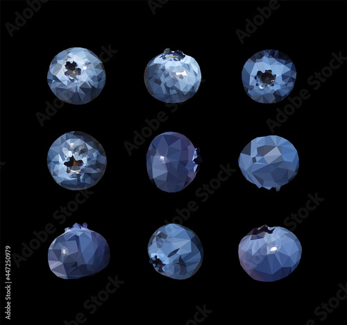 Vector set of Blueberries tasty and delicious isolated on black. Low poly triangular nine berries in a geometric style. 