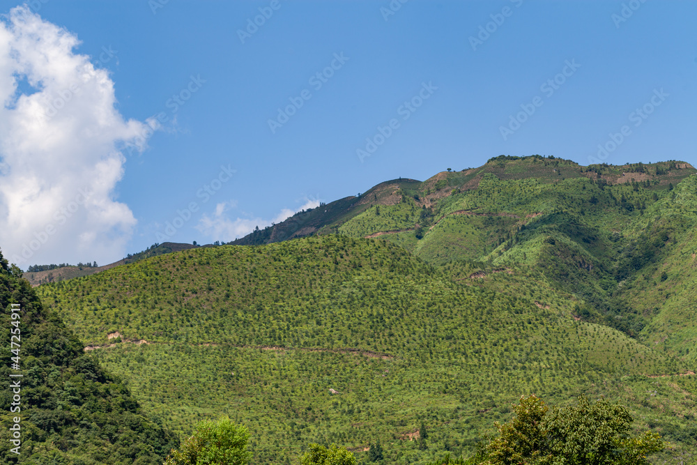 Scenic View Of Green Landscape And Mountains Against Sky