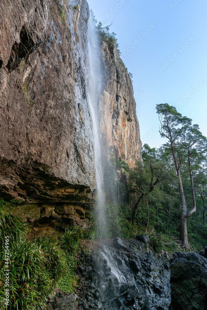Obraz premium waterfall in the mountains in the Springbrook National Park