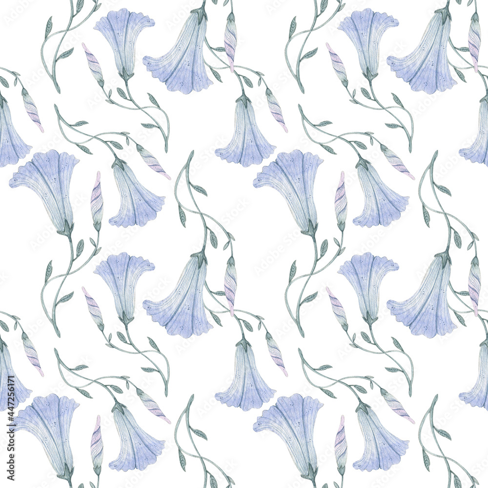 Seamless watercolor pattern with field bindweed Seamless watercolor pattern with field bindweed