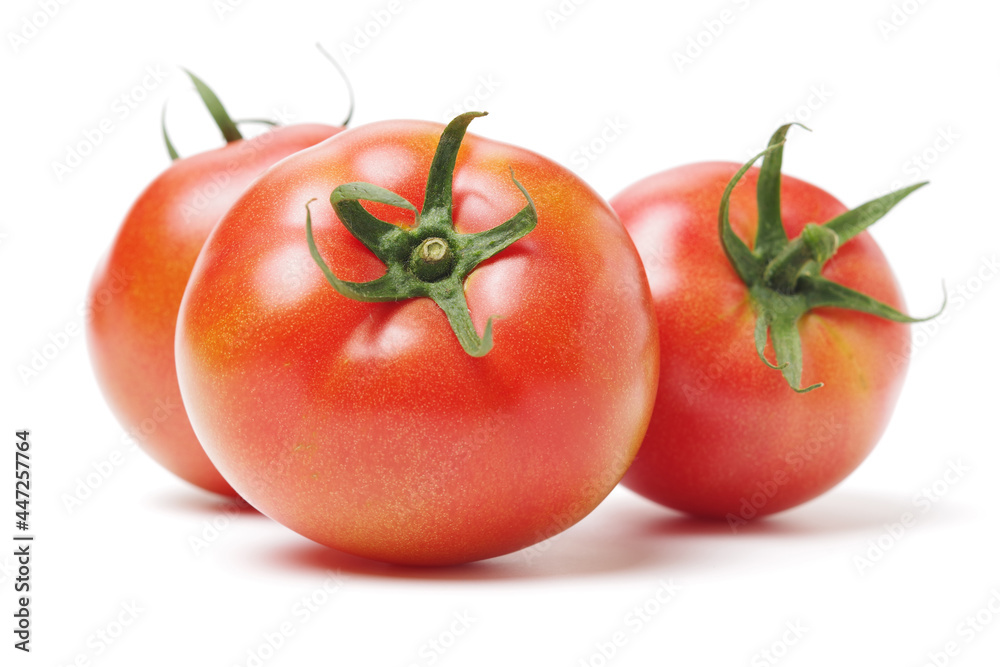 fresh tomato isolated on white background fresh tomato isolated on white background