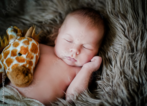 cute sleepy newborn baby resting with eyes closed and his cuddly toy giraffe on a dark sheepskin for a nap

