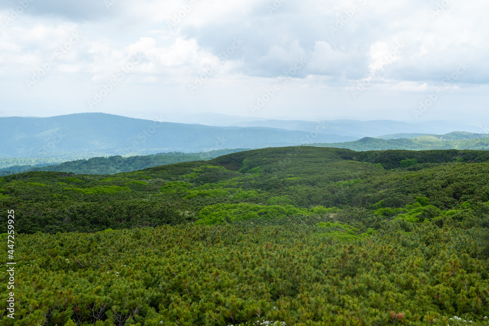 北海道上川郡東川町にある大雪山の旭岳の風景 View of Mt.Asahidake in Mt.Daisetsuzan, Higashikawa-cho, Kamikawa-gun, Hokkaido.