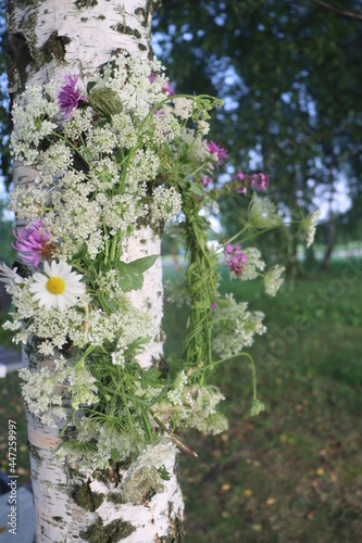 a braided maiden wreath hangs on a birch branch in a birch grove photo