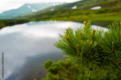 Fototapeta Naklejka Na Ścianę i Meble -  北海道上川郡東川町にある大雪山の旭岳の風景 View of Mt.Asahidake in Mt.Daisetsuzan, Higashikawa-cho, Kamikawa-gun, Hokkaido.