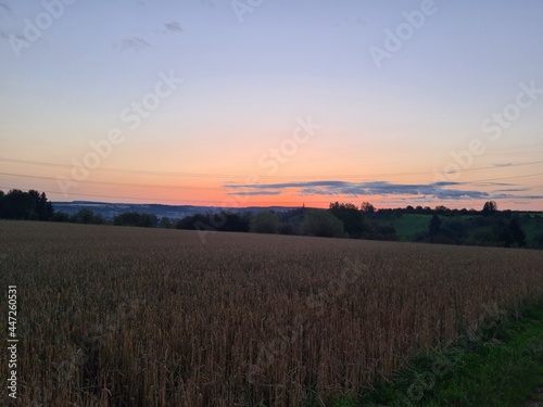 sunset over the field