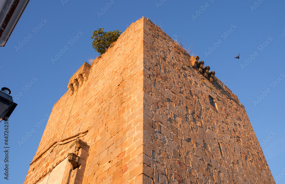 Galisteo 15th Palace-fortress. Extremadura, Spain