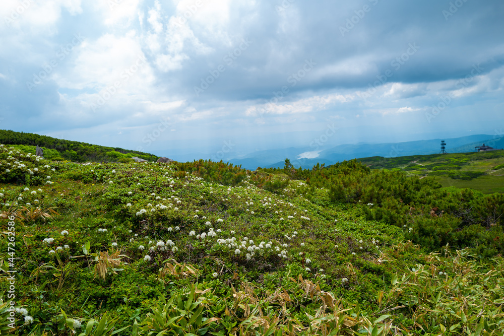 北海道上川郡東川町にある大雪山の旭岳の風景 View of Mt.Asahidake in Mt.Daisetsuzan, Higashikawa-cho, Kamikawa-gun, Hokkaido.
