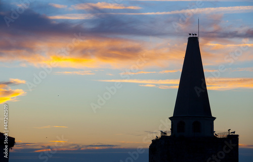 Galisteo, Storks perched over La Picota tower at dusk. Extremadura, Spain