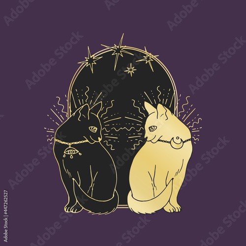 Vintage Mystic Cats and stars inside arch drawing