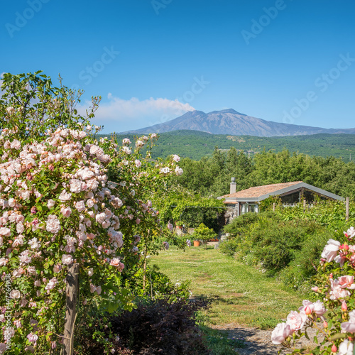 Sicilian rural landscape with small farm and Etna volcano eruption at background in Sicily, Italy