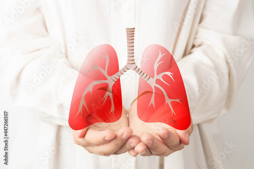 Fotografie Human hands holding lung organ symbol