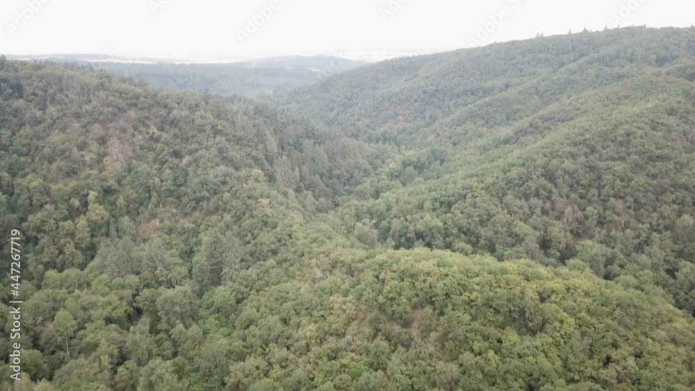DLOG flat Drone aerial view Mosel Valley castle Eltz in Rheinland Pfalz, vineyards, river and castles DLOG flat Drone aerial view Mosel Valley castle Eltz in Rheinland Pfalz, vineyards, river and castles