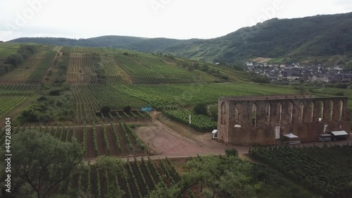 Wallpaper Mural DLOG flat Drone aerial view Mosel Valley in Rheinland Pfalz, vineyards, river and castles Torontodigital.ca