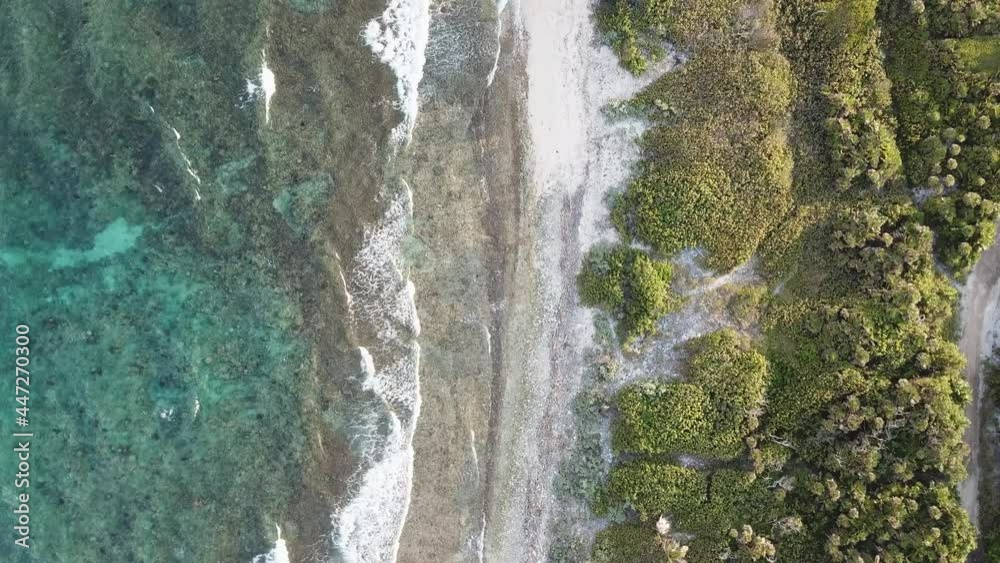 DLOG Flat Aerial drone view of the beachs, jungle, crystal clear water and coral reefs of Honduras Barrier Reef and tropical island of Utila DLOG Flat Aerial drone view of the beachs, jungle, crystal clear water and coral reefs of Honduras Barrier Reef and tropical island of Utila