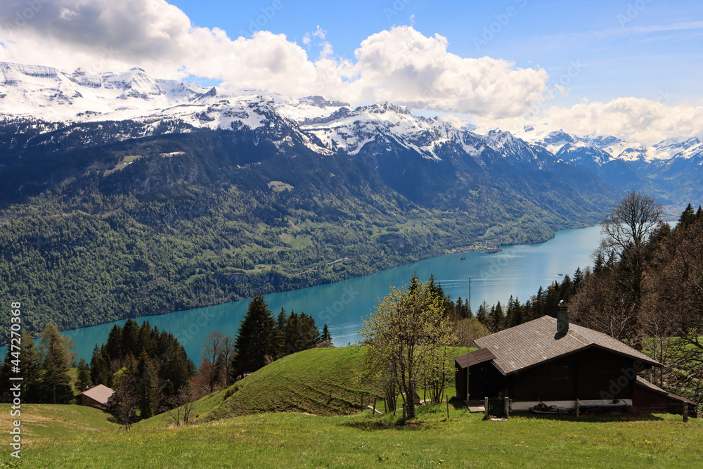 Zauberhafte Schweizer Alpenlandschaft; Blick von der Planalp über den Brienzersee (Berner Oberland)