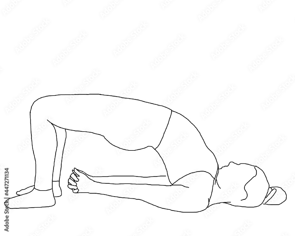Woman Practicing Yoga Bridge Pose Hand Stock Vector (Royalty Free)  1292360020 | Shutterstock