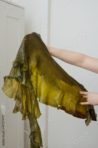 
seaweed used in spa treatments