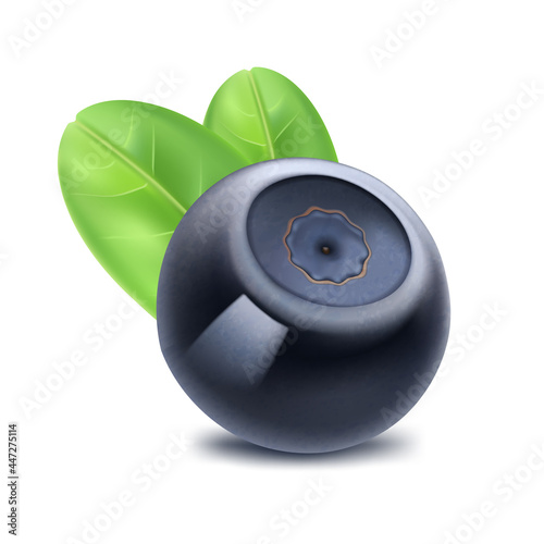 Bilberry (huckleberry, whortleberry or blueberry), with leaf, wild forest berries, ripe juicy fruit, healthy food. Vector icon.