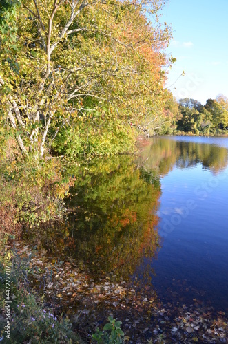Fototapeta Naklejka Na Ścianę i Meble -  Some Panoramas of the Beautiful Foliage in New England, USA