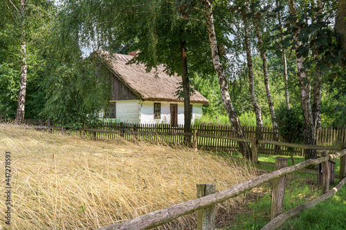 Mały wiejski domek pokryty strzechą