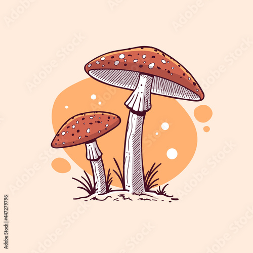 Fotografie, Obraz Amanita muscaria, fly agaric mushroom vintage style drawing vector illustration