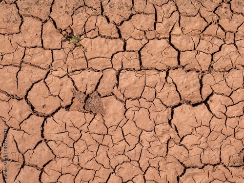 Trockenheit Ernte Klimawandel Boden