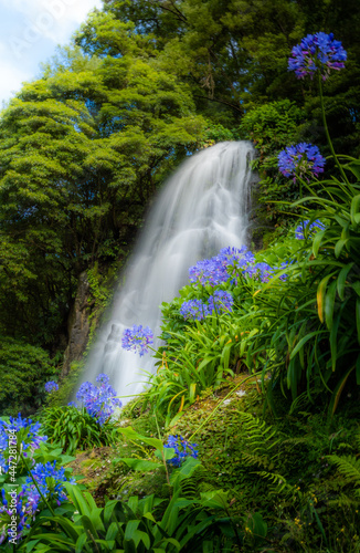 Beautiful waterfall at Parque Natural da Ribeira dos Caldeir  es on Sao Miguel  Azores