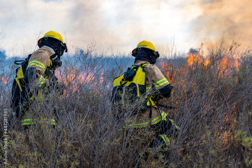 Firefighters put out a fire in the forest Firefighters put out a fire in the forest