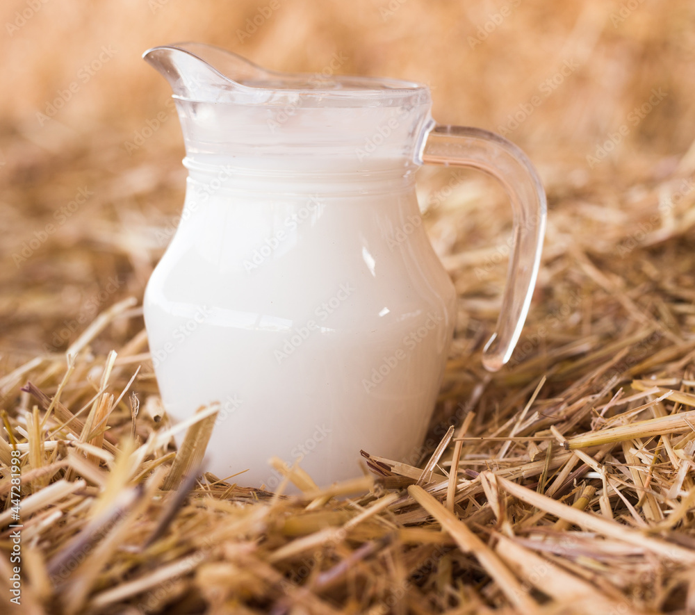 fresh milk in a jug in the hayloft fresh milk in a jug in the hayloft