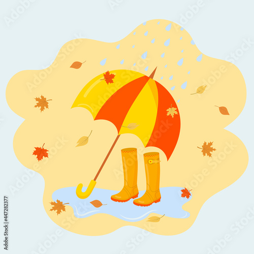 Umbrella, rubber boots and falling autumn leaves. 
