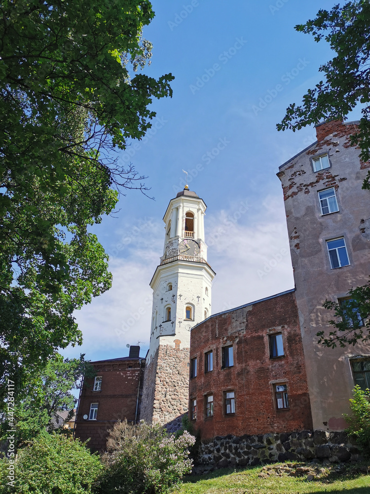An old clock tower, a former bell tower, between the trees in the city of Vyborg on a clear summer day.