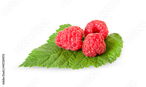 juicy raspberries on a green leaf isolated on a white background