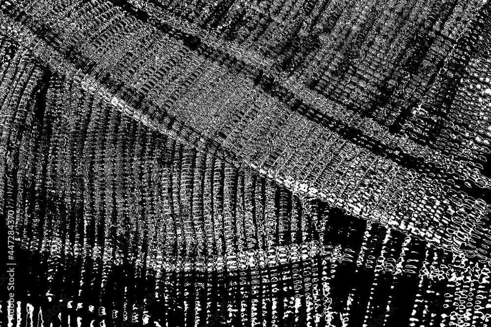 Fototapeta premium Abstract background. Monochrome texture. Image includes a effect the black and white tones.
