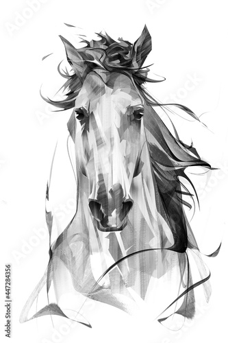 drawn portrait of a horse head on a white background with a mane