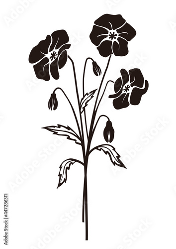 

Poppy flowers black silhouette.
Stylized Illustration of melancholy flower motive. Isolated on white background. Vector available.