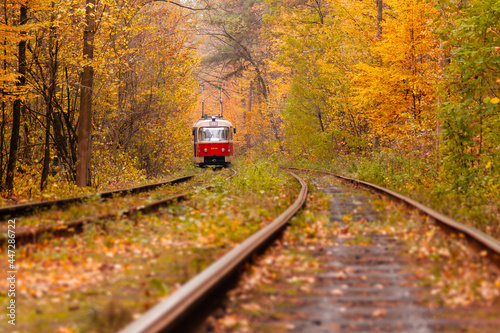 autumn forest among which goes a strange tram