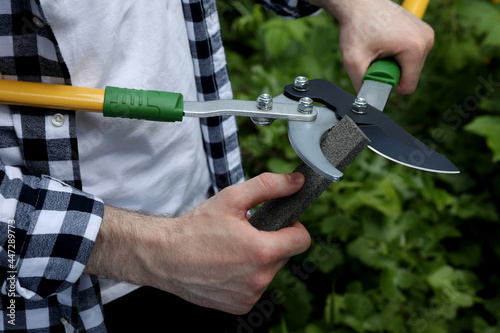 Man sharpening pruner outdoors, closeup. Gardening tools photo