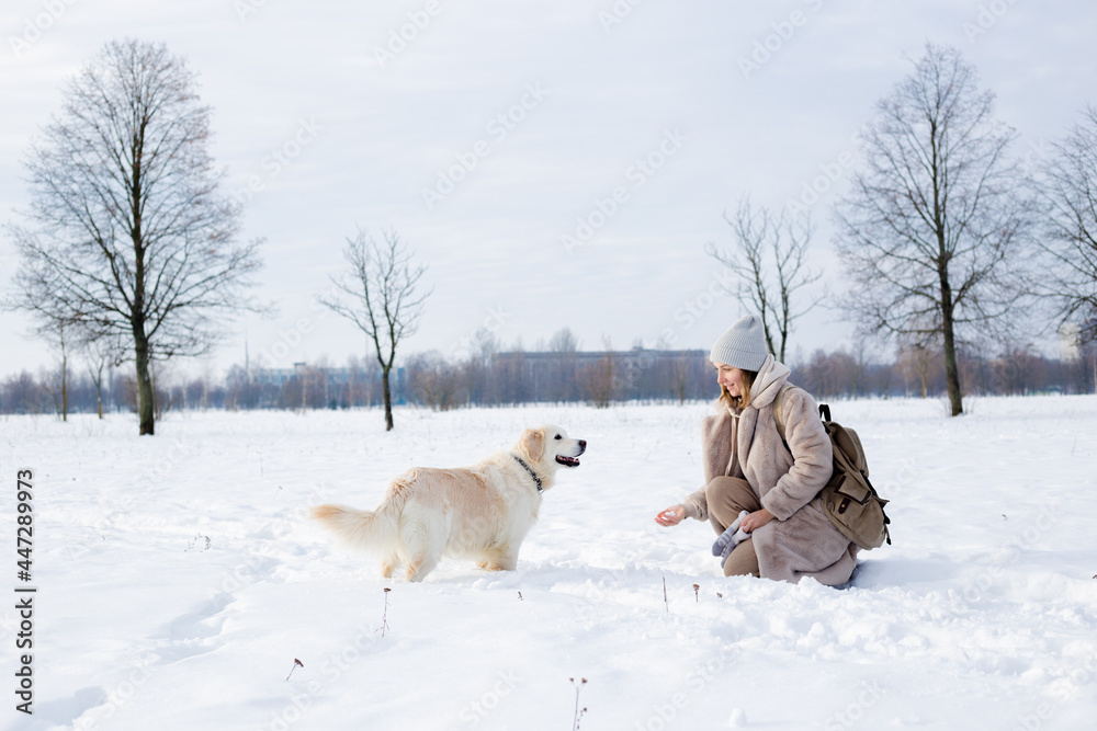 Young beautiful woman and her golden retriever dog having fun in winter. Young beautiful woman and her golden retriever dog having fun in winter.