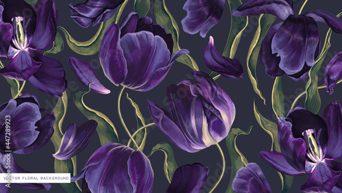 Vintage background in dark colors with realistic dark purple tulips flowers. Highly detailed vector hand-drawn inflorescences, petals and leaves in wallpaper, banners, social media, personal blogs
