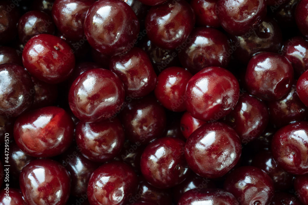 Summer harvest garden fresh cherries closeup Summer harvest garden fresh cherries closeup