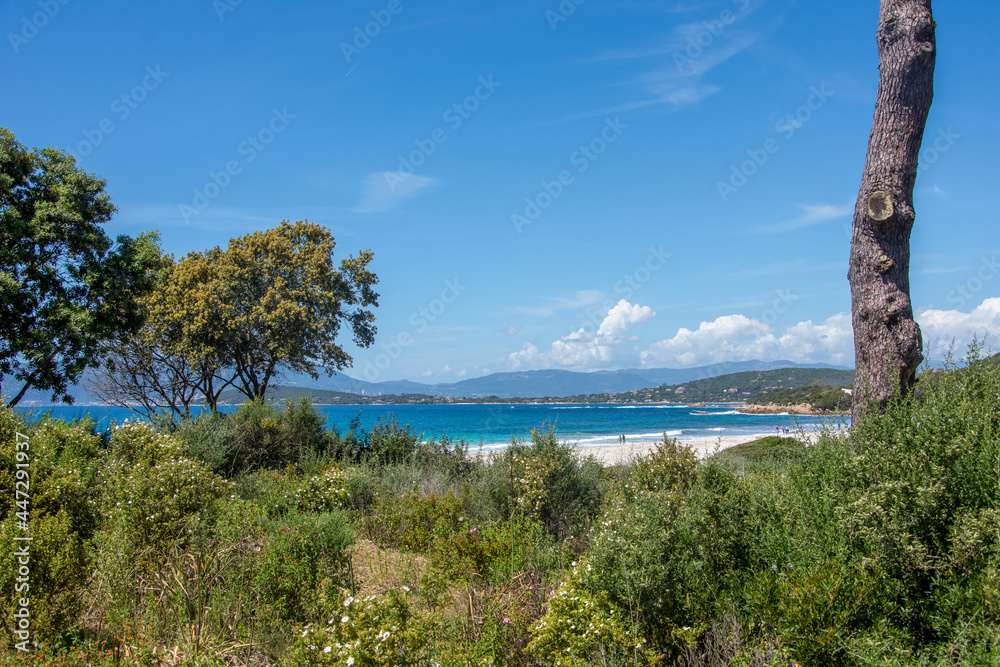 Fototapeta premium discovery of the island of beauty in southern Corsica, France