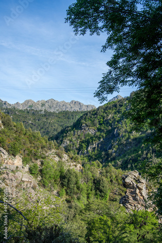 discovery of the island of beauty in southern Corsica, France