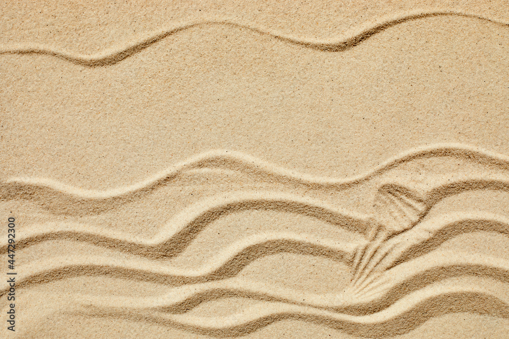 Sand texture. Sandy beach for product background. Top view Sand texture. Sandy beach for product background. Top view