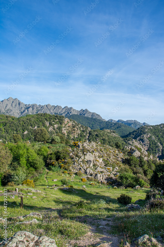 Obraz premium discovery of the island of beauty in southern Corsica, France