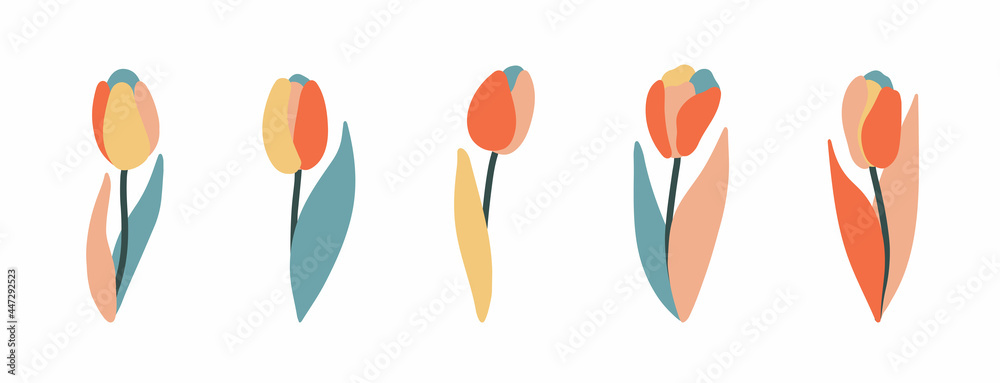 Set of multicolored flowers tulips with leaves. Hand drawn vector illustration. Isolated elements. Dutch plants Set of multicolored flowers tulips with leaves. Hand drawn vector illustration. Isolated elements. Dutch plants