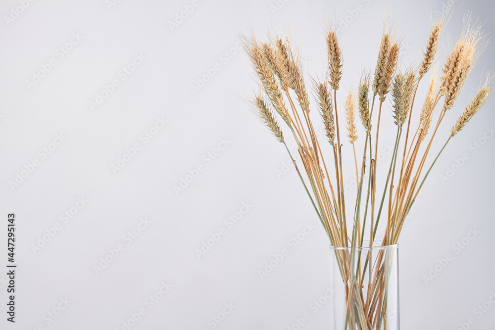 Glass vase of dry wheat rye spikelets isolated on white background. Glass vase of dry wheat rye spikelets isolated on white background.